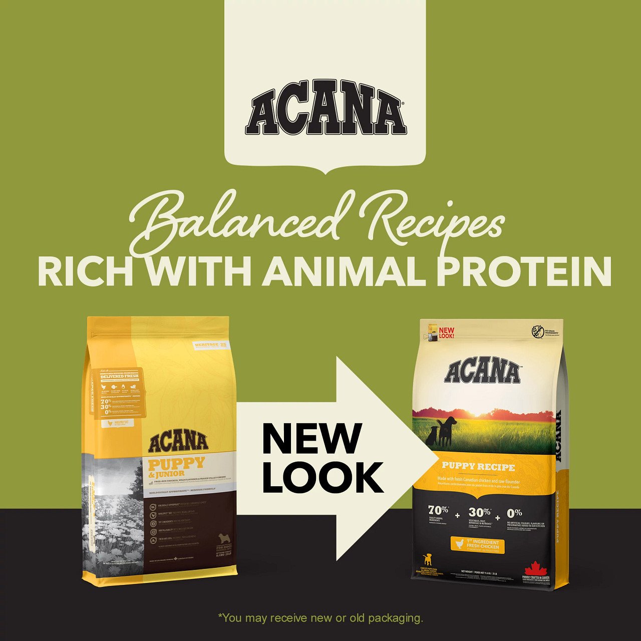ACANA puppy recite