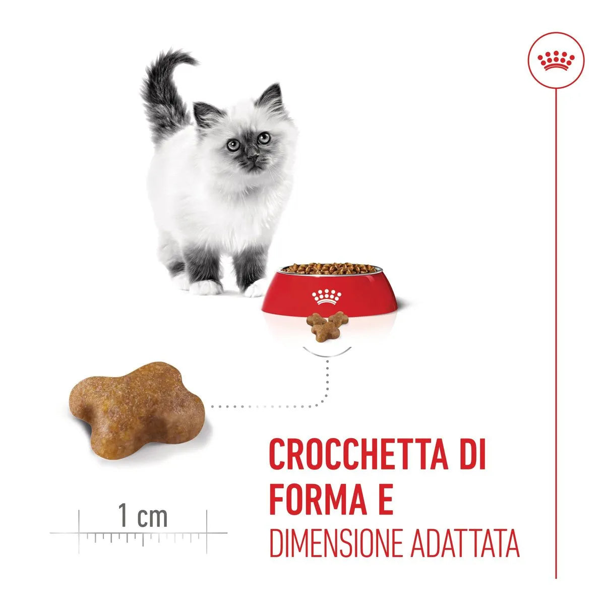 Kitten Royal Canin