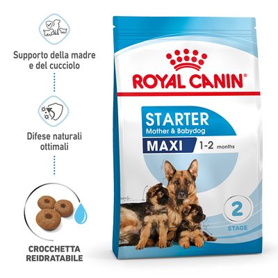 Starter Maxy Royal Canin