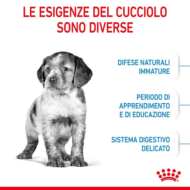 Puppy Medium Royal Canin