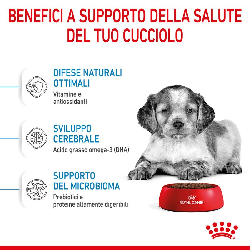 Puppy Medium Royal Canin