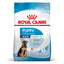 Puppy Maxy Royal Canin