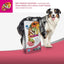Farmina N&D Tropical Dog Adult Medium/Maxi Low Grain Maiale e frutta tropicale