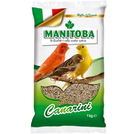 Mangime canarini