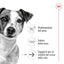 Royal Canin Mini ageing 12+ 800g