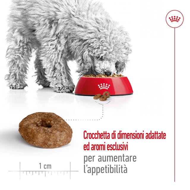 Royal Canin Mini ageing 12+ 800g
