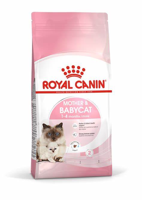 Mother and Babycat Royal Canin