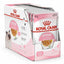 Kitten Royal Canin in Gelatina Scatola 12x85g