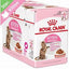 Kitten Sterilized Royal Canin in salsa Scatola 12x85g