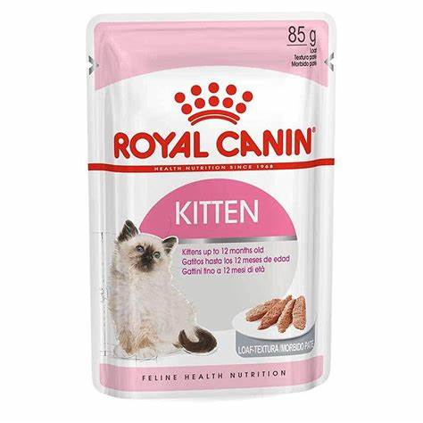 Kitten Royal Canin Patè Scatola 12x85g