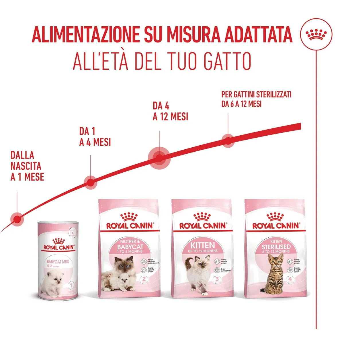 Kitten Royal Canin
