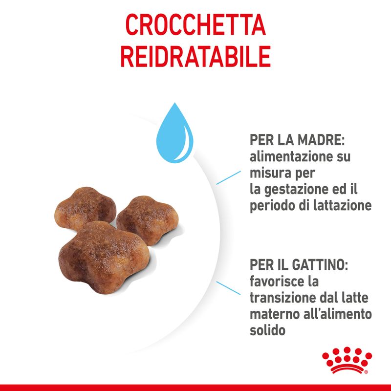 Mother and Babycat Royal Canin