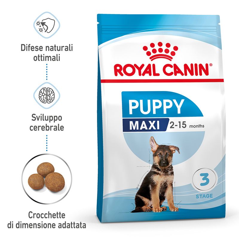 Puppy Maxy Royal Canin