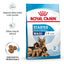 Starter Maxy Royal Canin