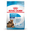 Starter Maxy Royal Canin