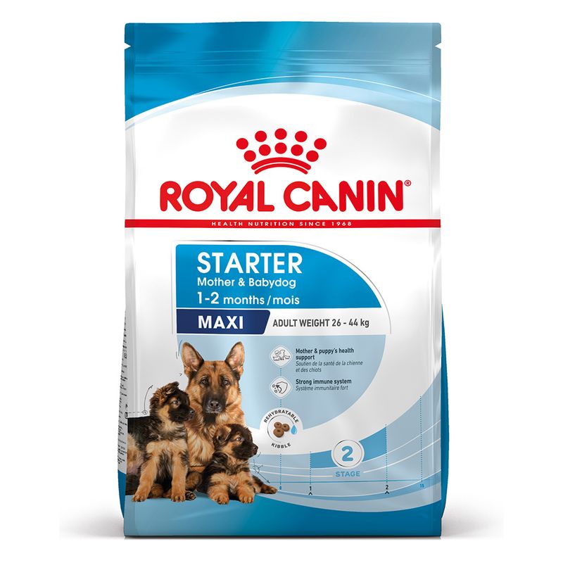 Starter Maxy Royal Canin