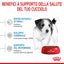 Puppy Mini Royal Canin