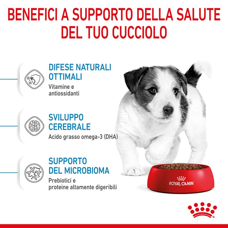 Puppy Mini Royal Canin
