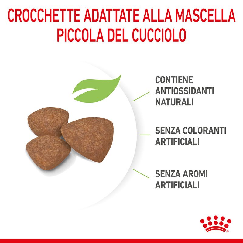 Puppy Mini Royal Canin