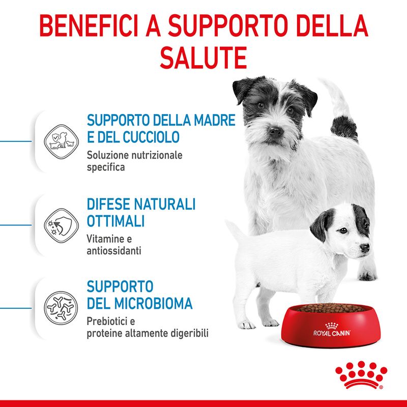 Starter Mini Royal Canin