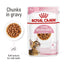 Kitten Sterilized Royal Canin in salsa Scatola 12x85g